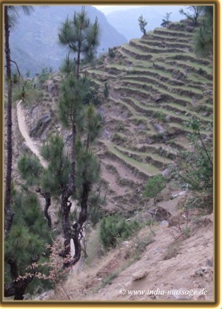 Die landschaftstypischen Terrassen in Indien